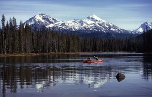 Landscape of willamette national forest