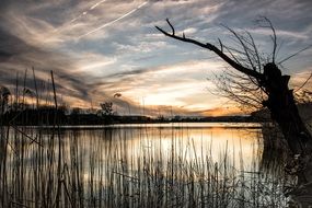 autumn landscape of lake in Switzerland