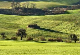 Landscape Field