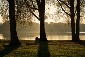 Trees at water in Park, Dusk