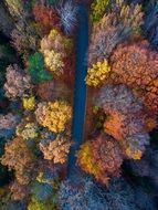 Aerial view in autumn