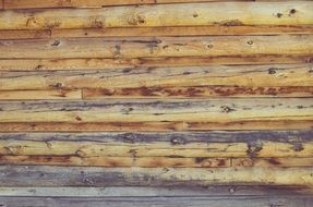 wallpaper with wooden boardwalk