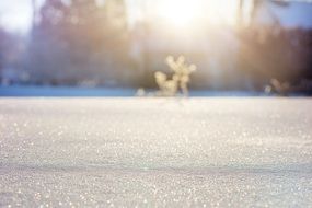 snow cover on a sunny day