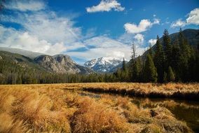 Landscape of beautiful wilderness