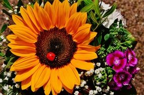 summer bouquet with sunflower close up