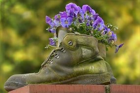 fresh flower in Boots