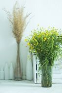 Beautiful and colorful plants and flowers in the vases in summer