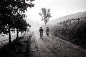 friends on bicycles in early morning