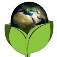 earth globe in green leaves birth new arise abstraction