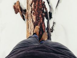 balance on a tree while walking