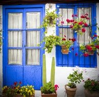 blue doors and shutters in a house in Cordoba, Spain