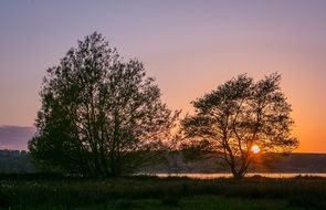 Trees near the lake during sunset