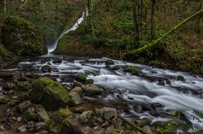 rocky forest stream