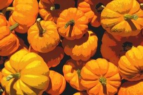 pile of round orange pumpkins at sun