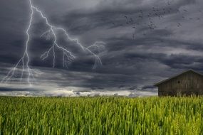 Landscape of Storm Clouds and thunders