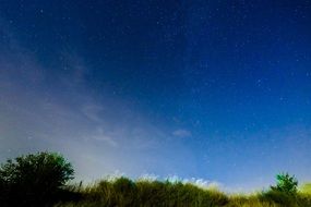 Moonlight over the field