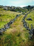 overgrown mountain trail, aubrac