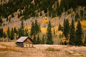 landscape of old wooden barn on a background of mountain forest