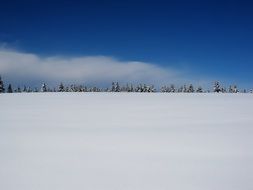 Winter landscape with a lot of snow