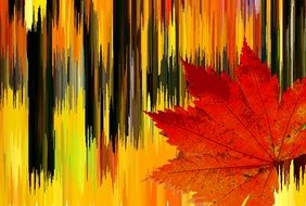 autumn colours as a background