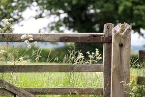 old wooden Farm Gate at Countryside