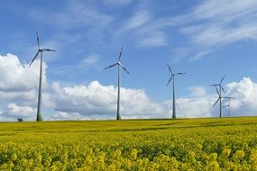 wind turbines on a sunny meadow