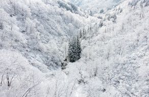 beautiful landscape of a winter snowy valley