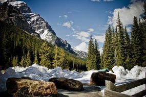 Landscape of Mountains and forest in a national park