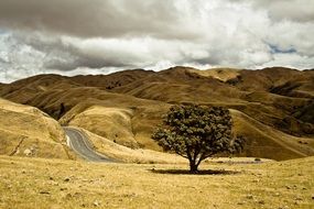highway along hilly countryside