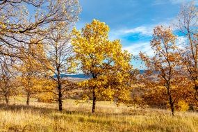 bright autumn landscape on a sunny day