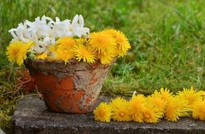bouquet of wild flowers in a flower pot
