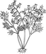 painted forest plant