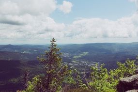 panorama of the sunny bavarian forest