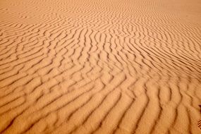 waves on the red sand in the desert