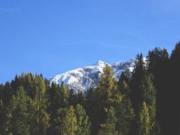 Mountain covered with Snow beneath coniferous forest