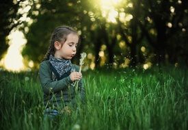 girl is blowing on a dandelion in a field