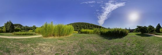 Bamboo Panorama Park Landscape