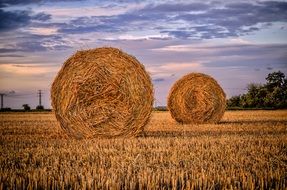 two round haystacks on an autumn field