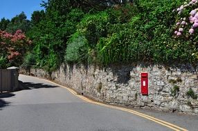 stone wall with green plants near the road