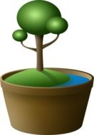Cartoon bonsai tree clipart