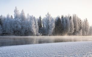 Landscape with the river and forest in winter