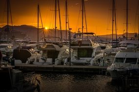luxury yachts in the harbor against a golden sunset