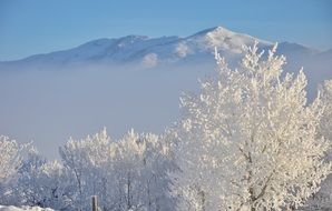 Hoar Frost Snow