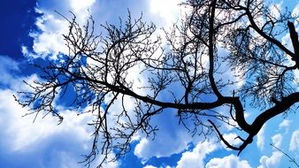 beautiful clouds
