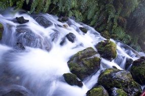 Waterfalls in Forest, long exposure
