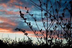 colorful evening sky for contrast