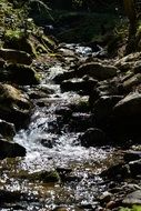 landscape of rocky fast forest stream