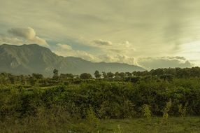 Beautiful mountains with green trees under the clouds