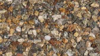 large round pebbles under water