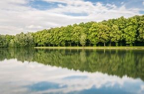 Mirroring of the forest in the lake